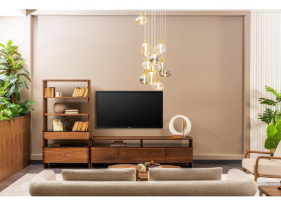 Wohnwand TV Ständer Bücherregale RTV Lowboard Sideboard Braun Holz Set